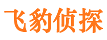 松山寻人公司